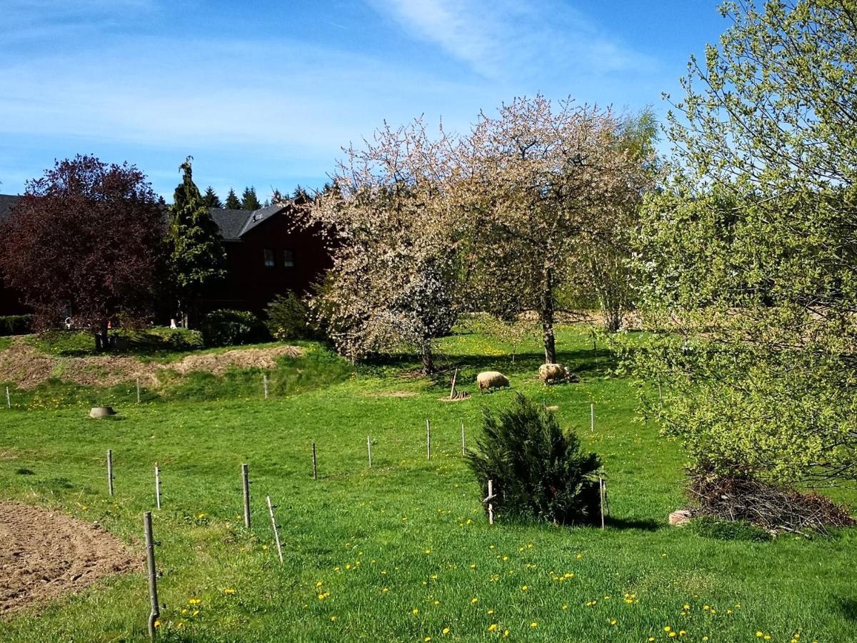 Ferienwohnungen 1 Bis 4 "Pumphut'S Scheune" Lengenfeld  Kültér fotó